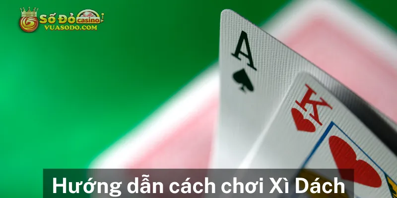 Hướng dẫn cách chơi xì dách