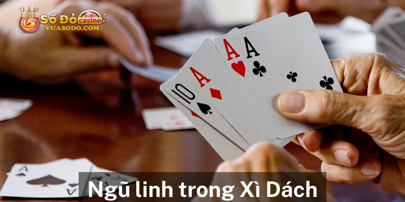 Trường hợp đặc biệt trong Xì Dách