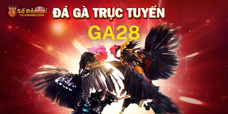 Ưu điểm khi chơi đá gà GA28